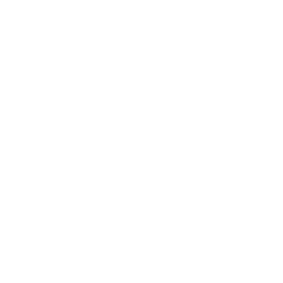 icon linkedin